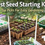 Best Seed Starting Kits