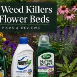 Best Weed Killers For Flower Beds