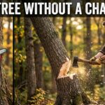 How To Cut Down A Tree Without A Chainsaw