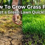 How To Grow Grass Fast Pro Tips For A Lush Lawn