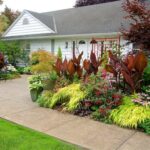 Lawn And Garden Ideas