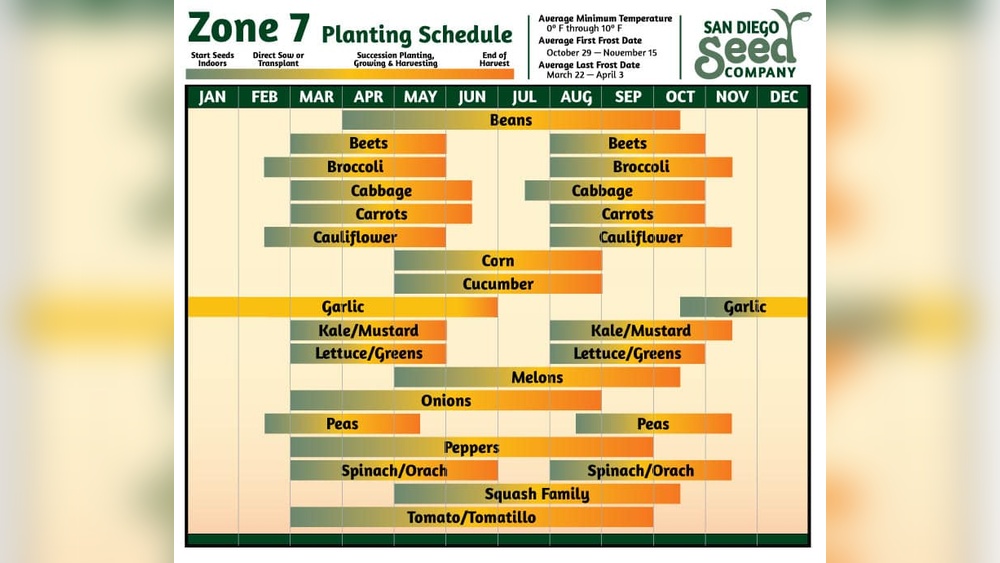 When To Plant Potatoes In Zone 7