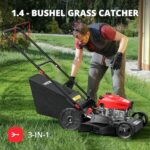 Best Affordable Self Propelled Lawn Mower