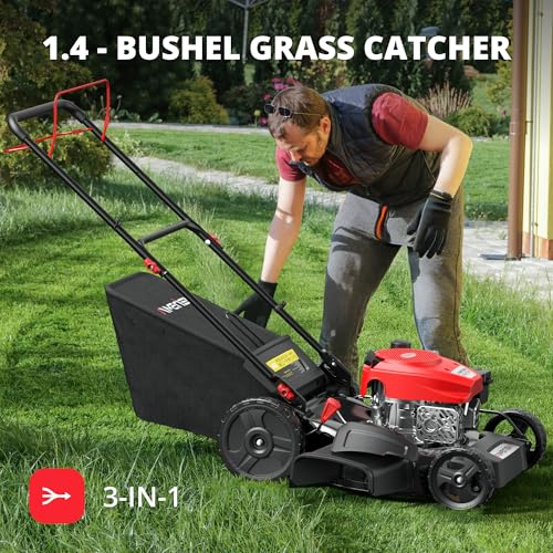 Best Affordable Self Propelled Lawn Mower
