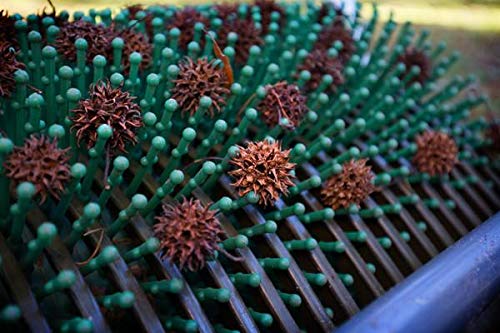 Best Lawn Sweeper For Sweet Gum Balls