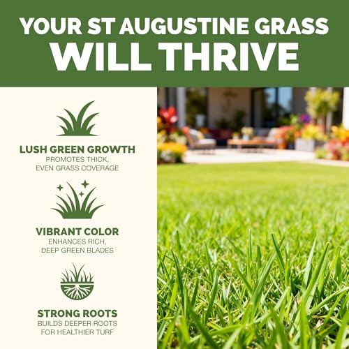 Best Lawn Mower For St Augustine Grass