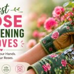 Best Rose Gardening Gloves