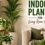 Indoor Plants for Living Room Corner