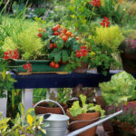 Balcony Vegetable Garden Ideas