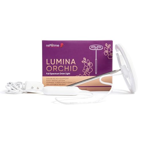 Best Grow Lights For Orchids