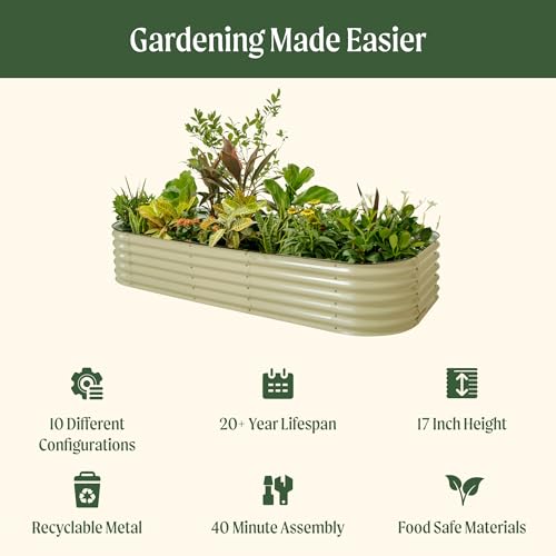 Best Raised Bed Kits