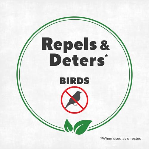 Best Bird Repellent Spray