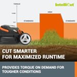 WORX WG779 Review