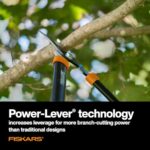 Best Loppers For Large Branches