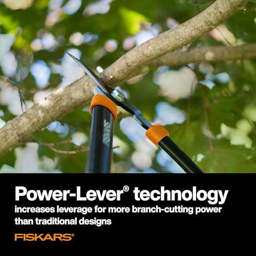 Best Loppers For Large Branches
