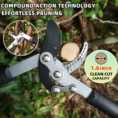 Best Loppers For Pruning