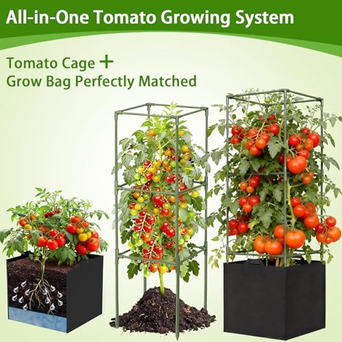 Best Planters For Tomatoes