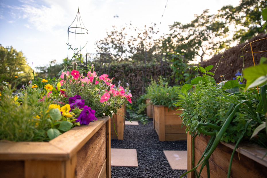 Best Flowers To Plant In Vegetable Garden