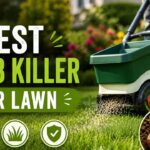 Best Grub Killer For Lawn