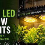 Best Indoor Fruit Trees