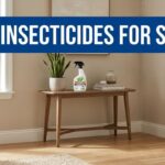 Best Insecticides For Spiders