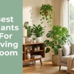Best Plants For Living Room
