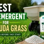 Best Pre-Emergent For Bermuda Grass