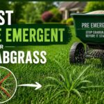 Best Pre Emergent For Crabgrass