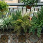 Apartment Balcony Garden Ideas