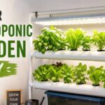 Indoor Hydroponic Garden Diy