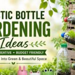 Plastic Bottle Gardening Ideas