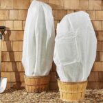 How To Protect Plants In Winter