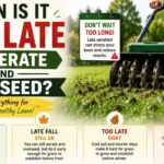When Is It Too Late To Aerate And Overseed