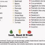 Fruits And Vegetables To Plant In Spring
