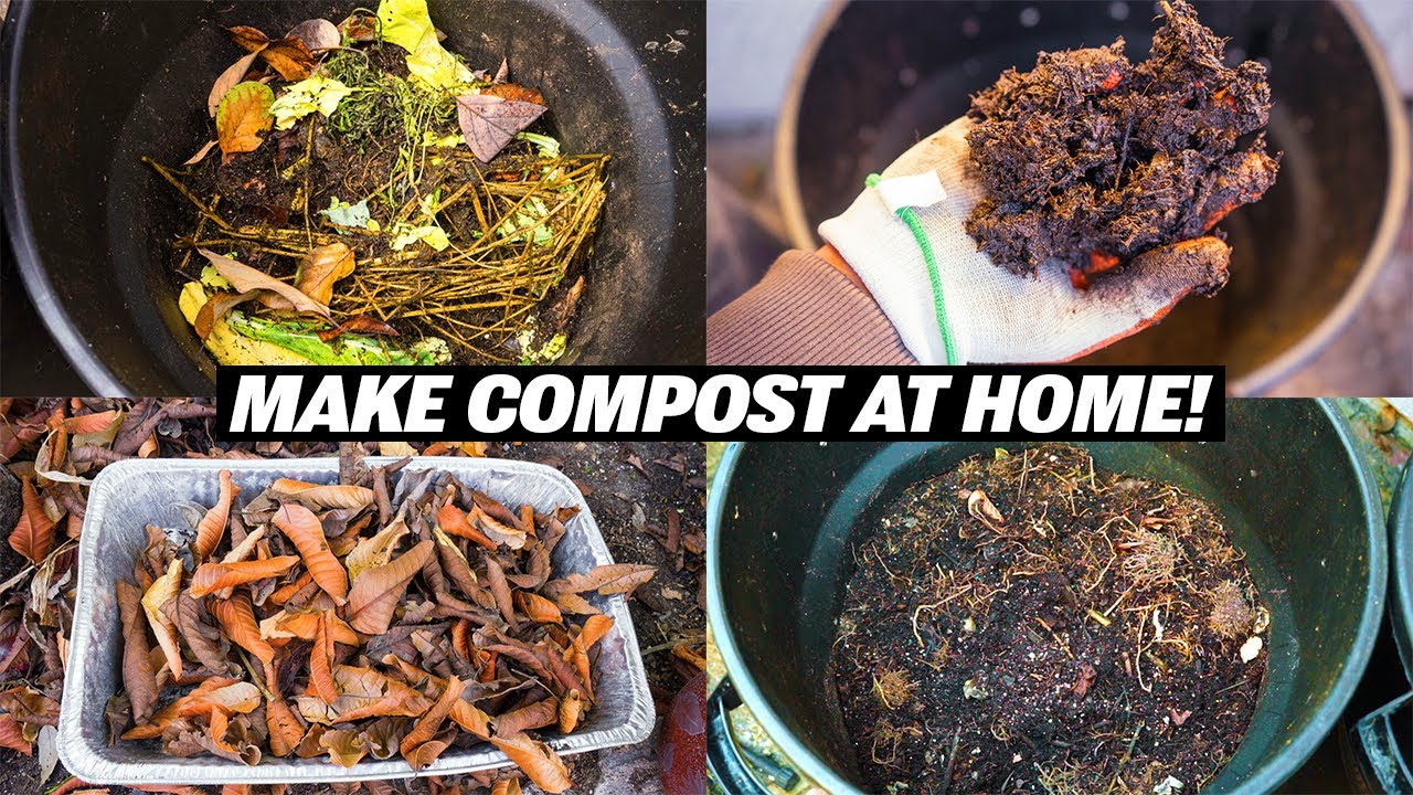 How To Make Organic Fertilizer At Home