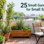 Small Garden Ideas for Small Spaces