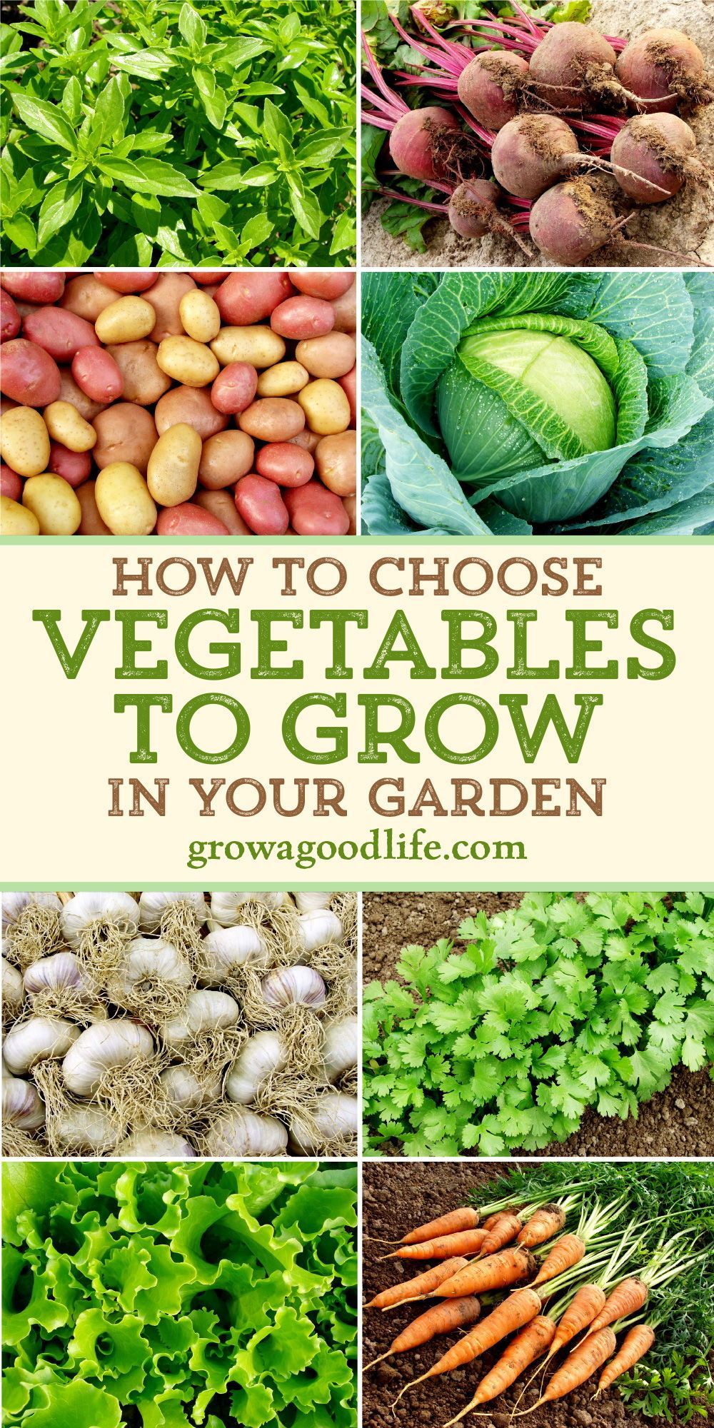 How To Choose Vegetables For A First Garden