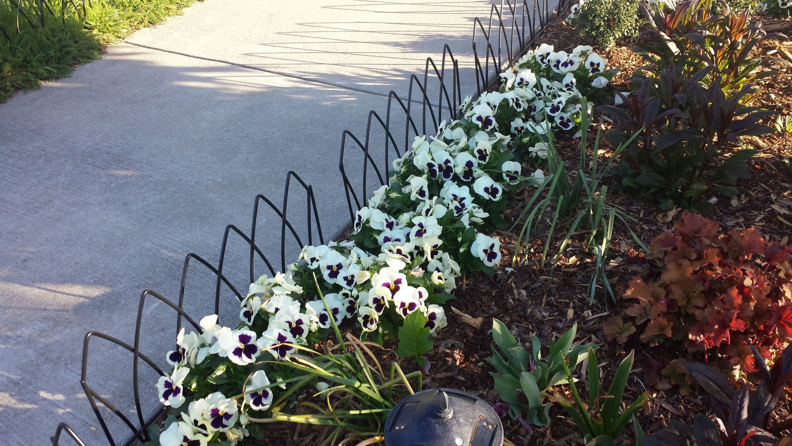 Flower Bed Fencing To Keep Dogs Out