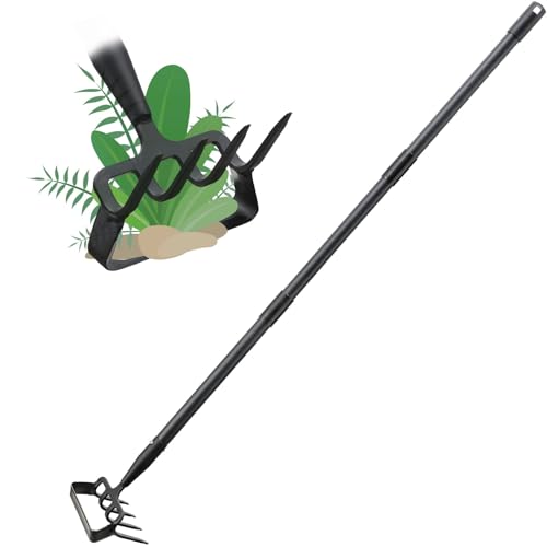 Stirrup Hoe Garden Tool Review