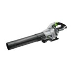 EGO vs Milwaukee Leaf Blower