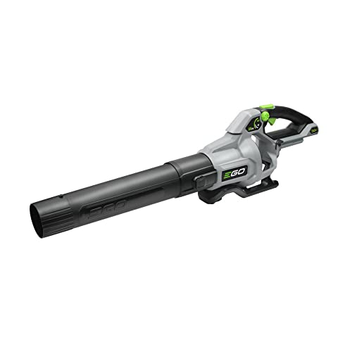 EGO vs Milwaukee Leaf Blower