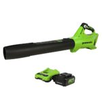 Greenworks vs RYOBI Leaf Blower