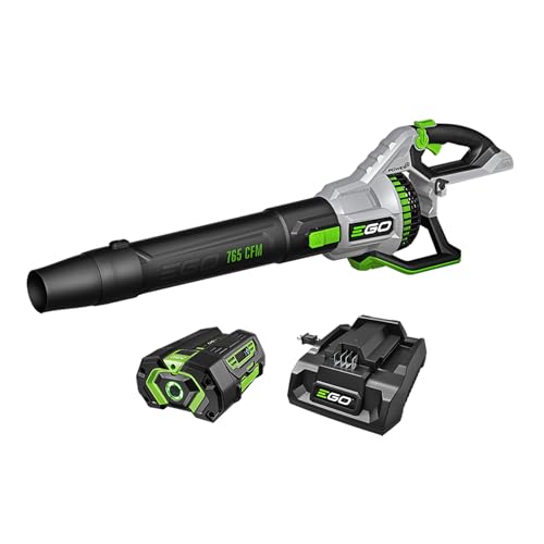EGO Power+ leaf blower review