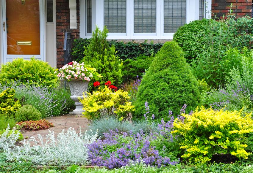 How To Plant Shrubs In Front Of House