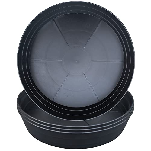 Best Plant Saucers For Outdoor Pots