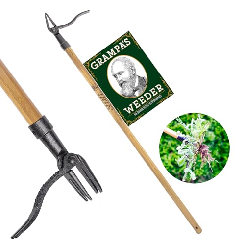 Best Stand Up Weeders