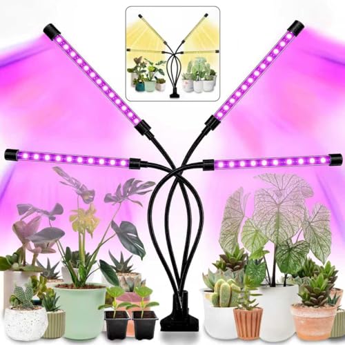 Best Grow Light Distance for Tomato Seedlings