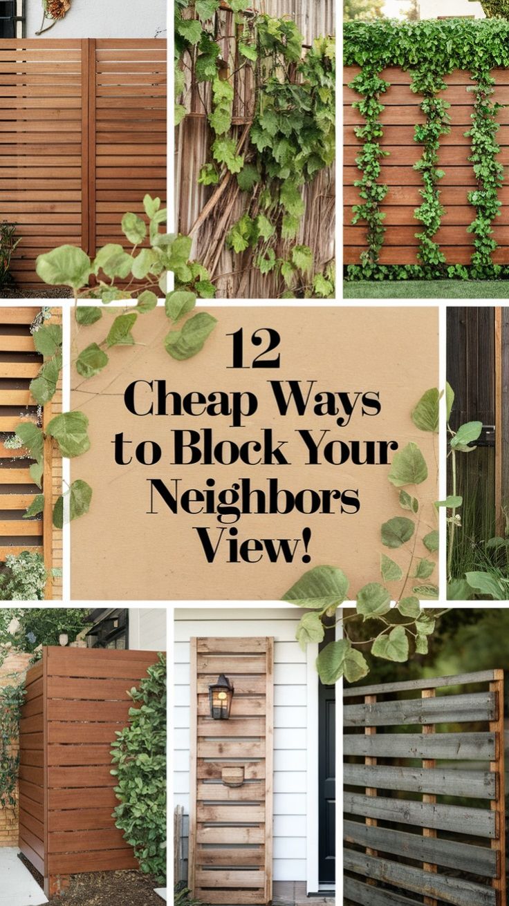 Cheap Ways to Block Neighbor View