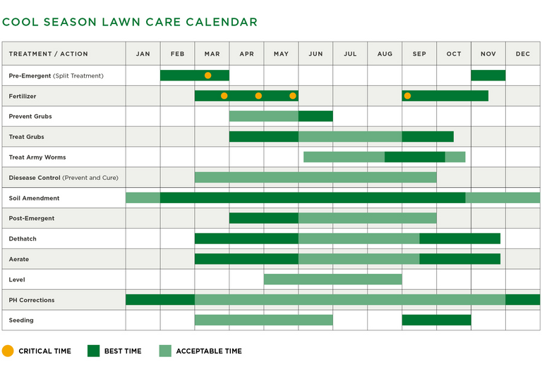 Fertilizer Schedule For St Augustine Grass Florida