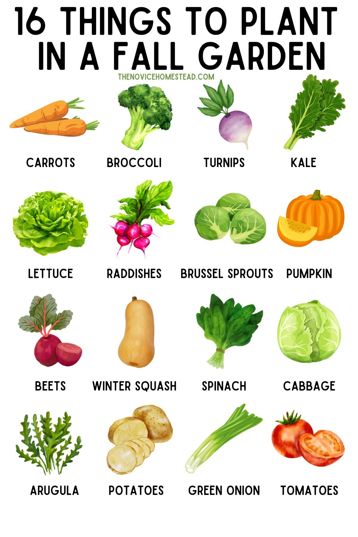 What To Plant In Fall Vegetable Garden